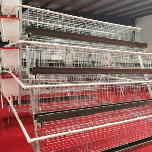 jaula para gallinas ponedoras