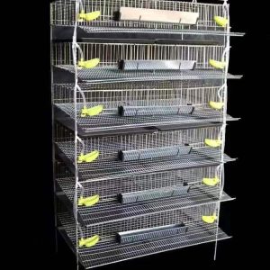 jaula codorniz ponedora