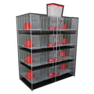 jaula automática para crianza codorniz